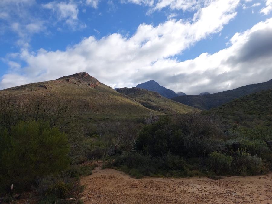 7 Bedroom Property for Sale in Ladismith Rural Western Cape